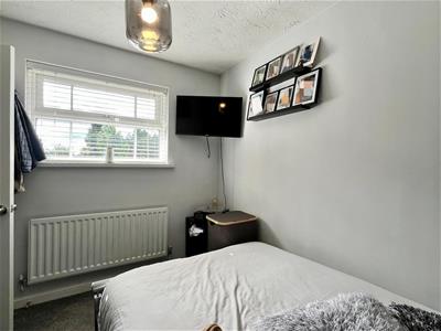 Picture 15